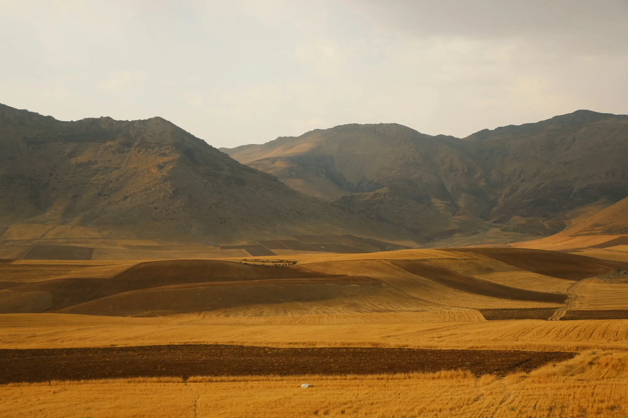 Golden valley floor beneath brown mountains