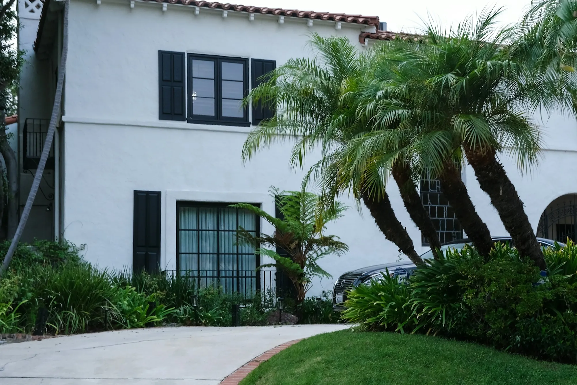 White two-story house with palm trees and a curved driveway